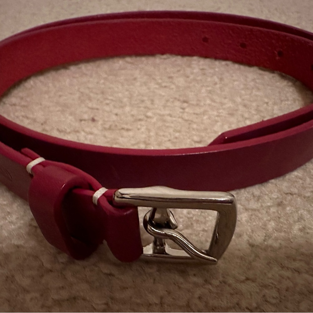 Coach belt